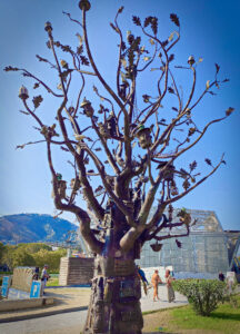 The Iron Tree Image